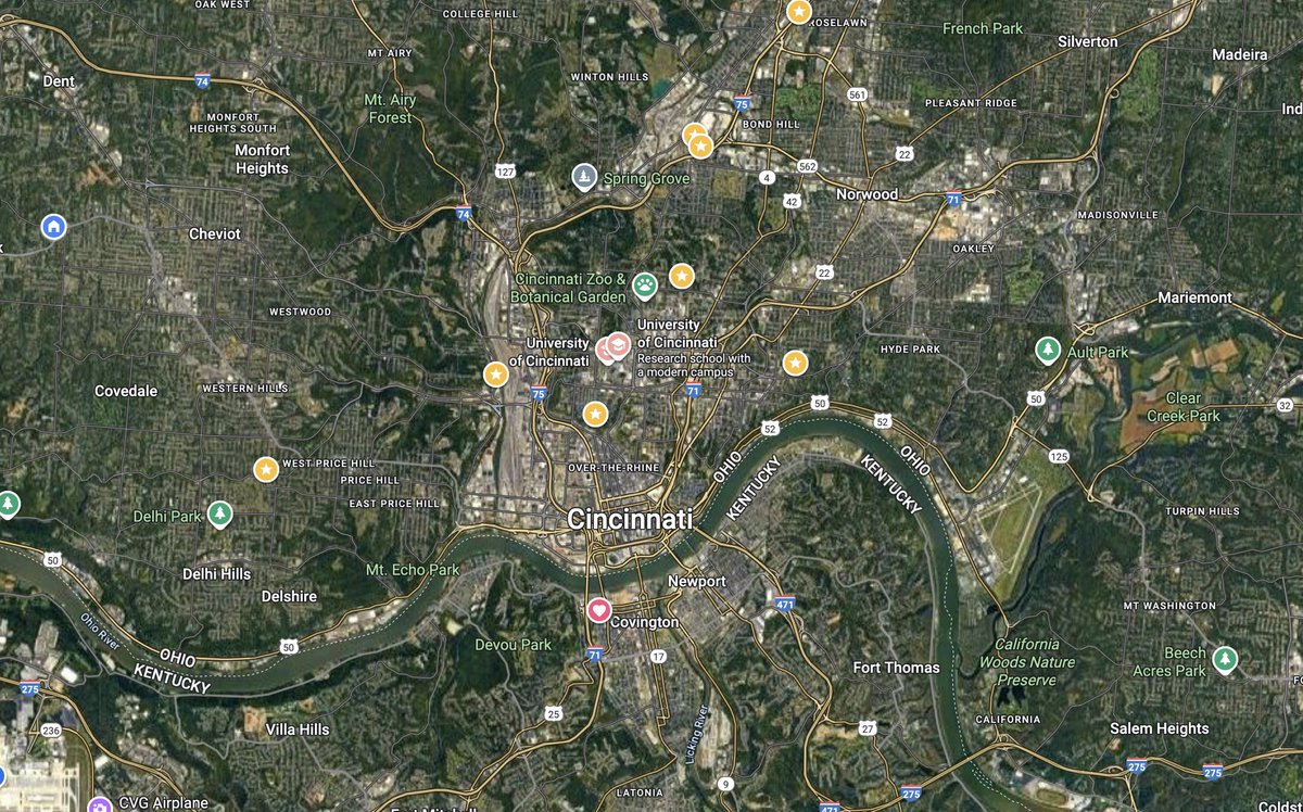 VIVA LA CATS POD 🐻❄️🐈⬛‼️ tweet media