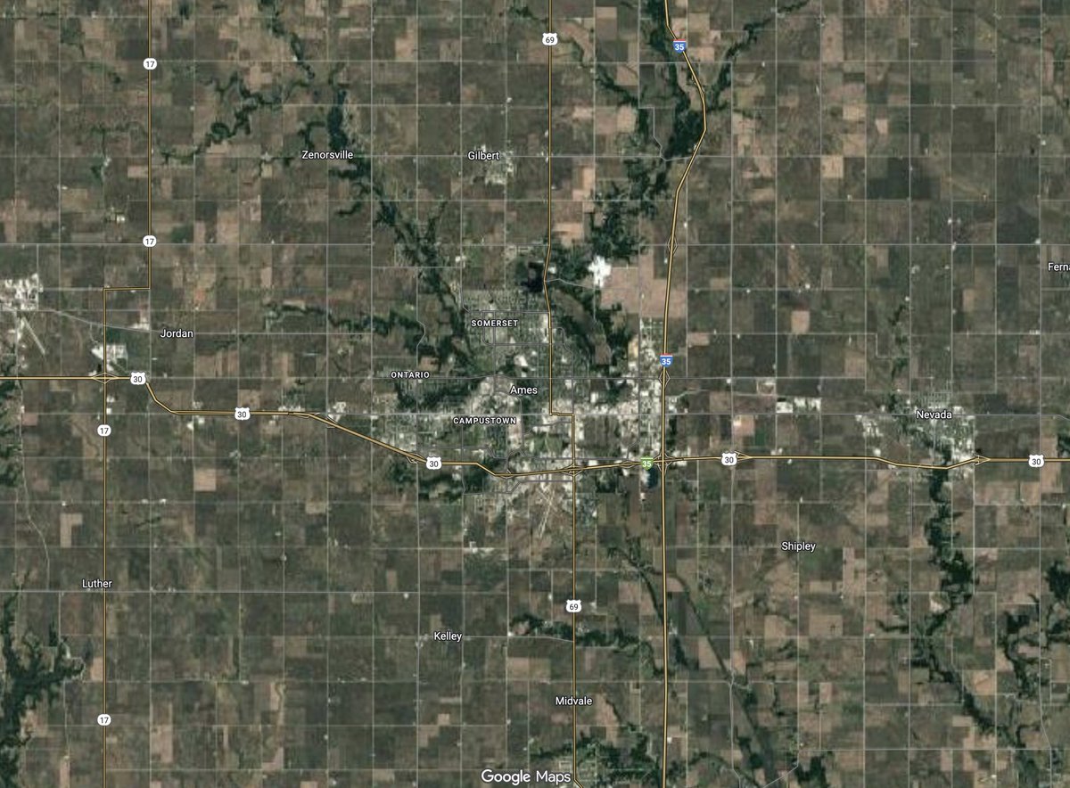 VIVA LA CATS POD 🐻❄️🐈⬛‼️ tweet media