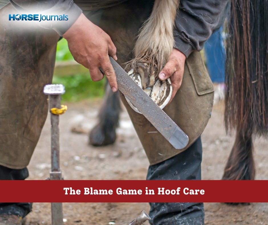 “The farrier crippled that horse.”

Over the past few months, Will Clinging, CJF, AJFC, has heard this from at least two people complaining on behalf of a friend whose horse had gone lame. 

Read Will's latest article on why this is highly unlikely → horsejournals.com/horse-care/hoo…