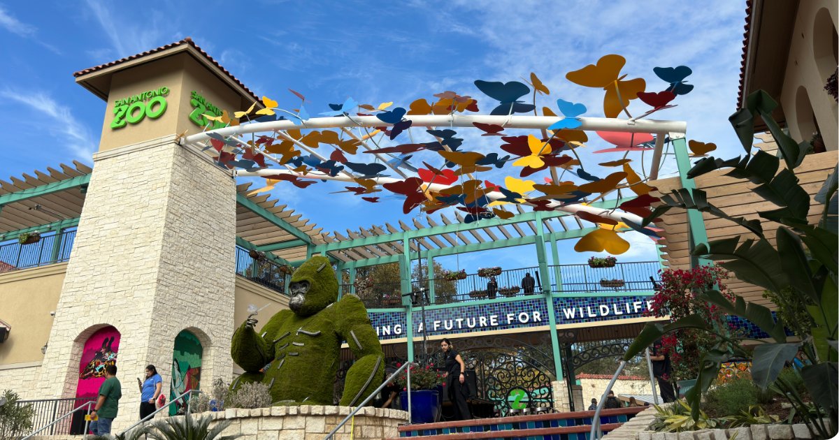 San Antonio City Council District 1 tweet media