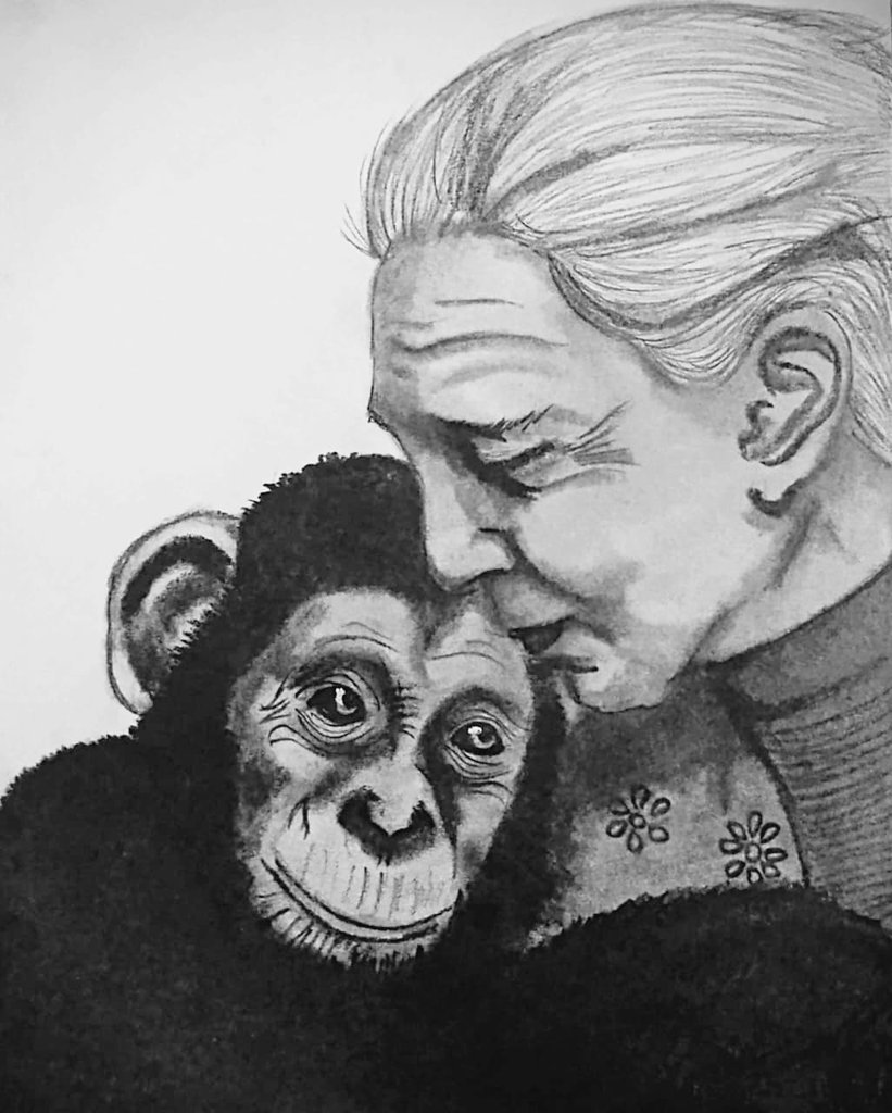 Akshay1552's tweet photo. I pay tribute to Dr. Jane Goodall, a true guardian of nature 🌿.  Her tireless work with chimpanzees transformed the way the world understands animals not as subjects, but as fellow beings who share our planet. Rest in peace,Dr Jane, your light will forever guide us. #JaneGoodall https://t.co/eEZfFbUE5M