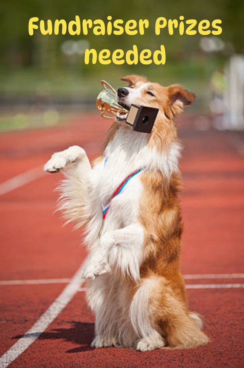 WE NEED YOUR HELP!
We are looking for some fab prizes to help us raise some much needed funds for our doggies. 

The fundraisers are such a lifeline for the dogs and help us cover some of the bills. 
We are running short on prizes, so if anyone has any items they could donate,