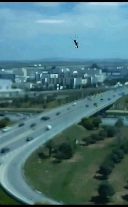 I also did the same🤣🤣🤣