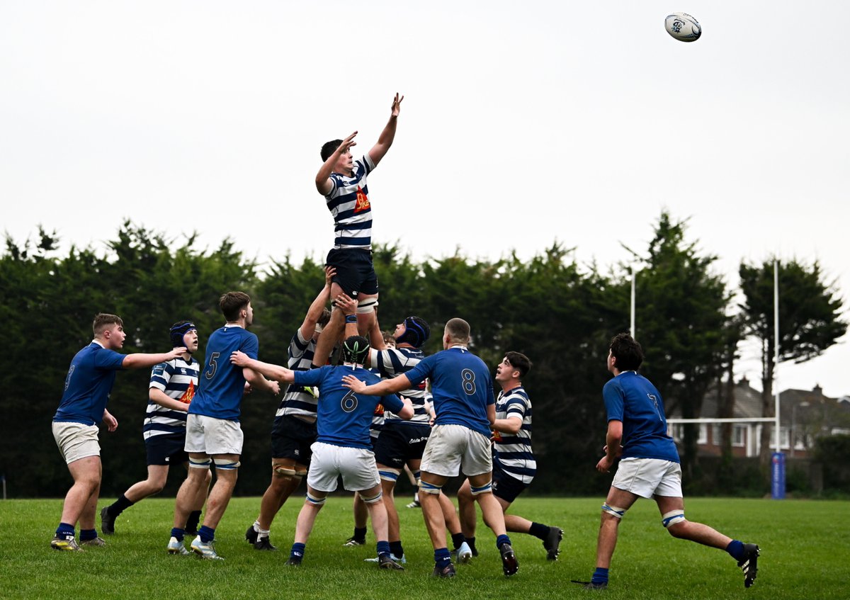 Leinster Rugby tweet media