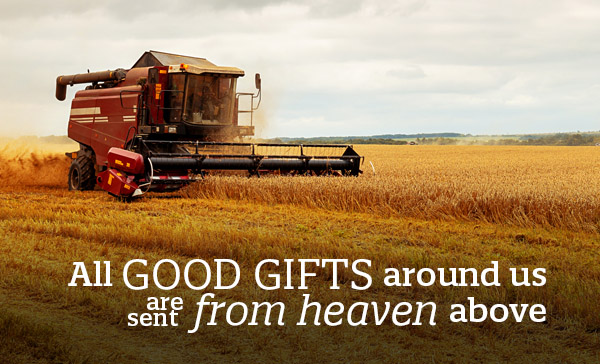 SDR Churches tweet media