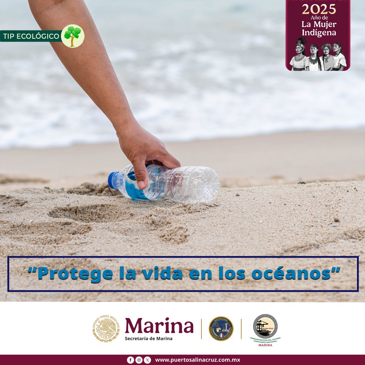 asipona_sc's tweet photo. PROTEGE LA VIDA DE LOS OCEÁNOS

Si vas a la playa, evita utilizar los plásticos desechables, como las botellas de agua, envases y bolsas, popotes, ya que estos contribuyen a la contaminación de los océanos la cual puede destruir los ecosistemas y poner en peligro la vida marina. https://t.co/RgFHxvlWrj
