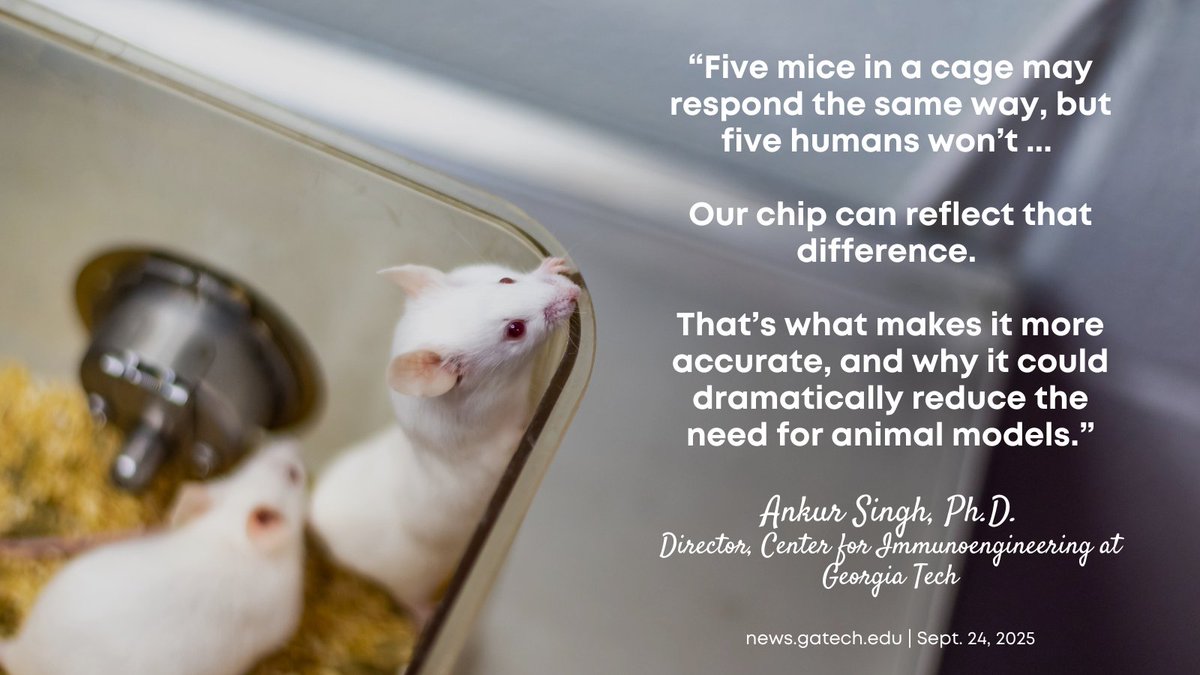 SAOscience's tweet image. "For decades, lung research has relied on animal models. But mice don’t get asthma like children. Their bodies don’t mount the same defenses." 
@GTChBE  & @VUEngineering scientists are reshaping lung disease research with their lung-on-a-chip. 
news.gatech.edu/news/2025/09/2…