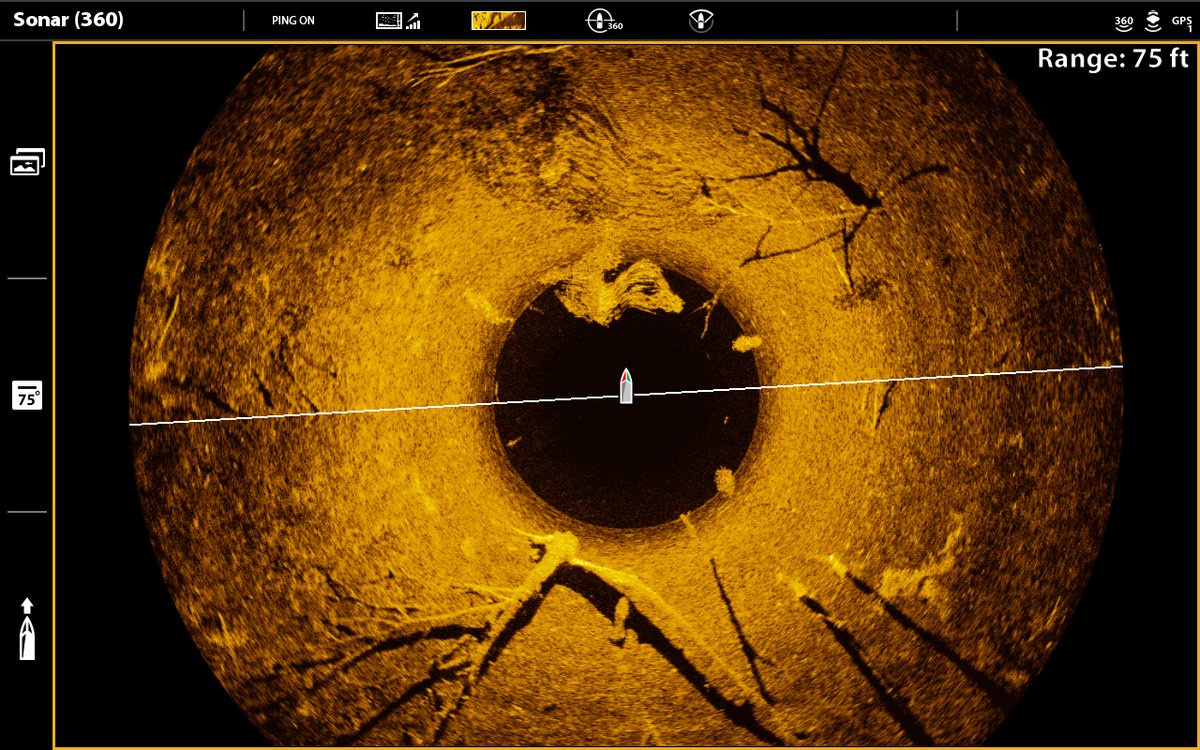 HumminbirdFish tweet media