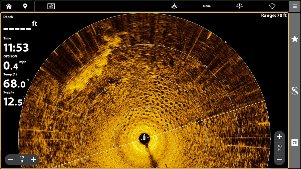 HumminbirdFish tweet media