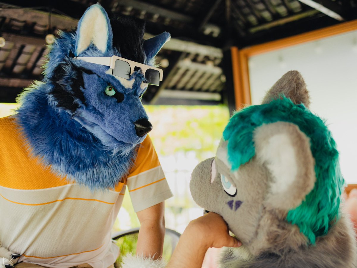 UminekoFursuit's tweet image. Some conversations need nothing more than a glance.
‘Hey! Wanna shoot a silly short later?’
“Sure! Let me think of what we could film.”
📸:Link Kun 🐱:Yue Cat
#FursuitFriday #Ardu #Mareas #馬里亞斯