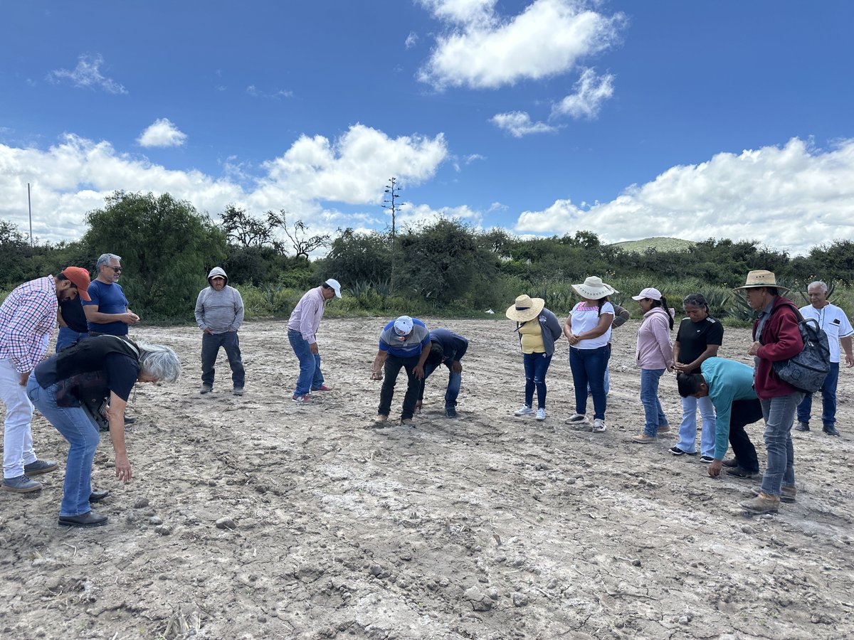 RedEAmérica tweet media