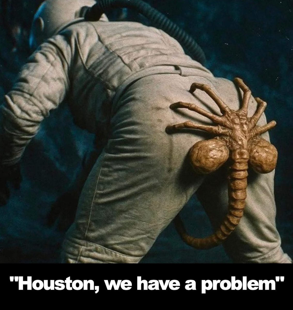 matt_nate's tweet image. 