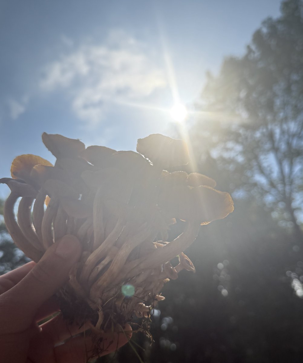 Evan (@eviaeai) on Twitter photo 