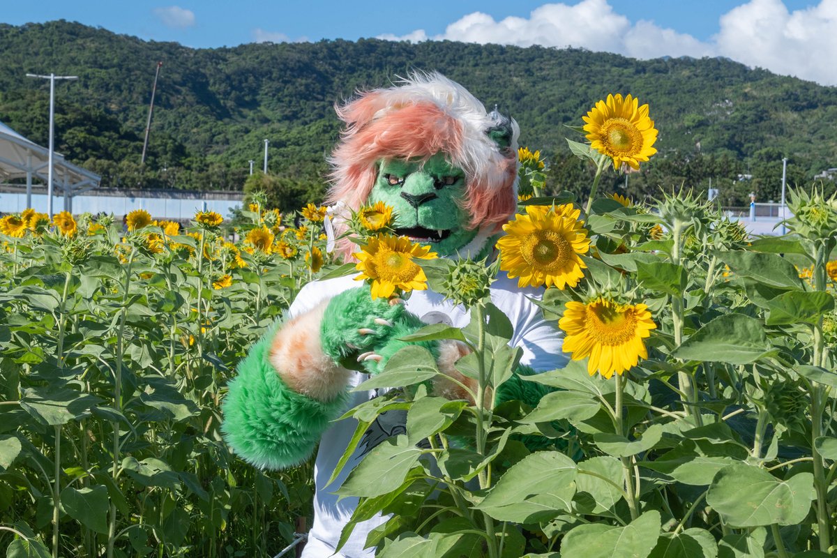 向陽而生、堅定希望
願太陽伴你冒險
照亮你的道路

#FursuitFriday