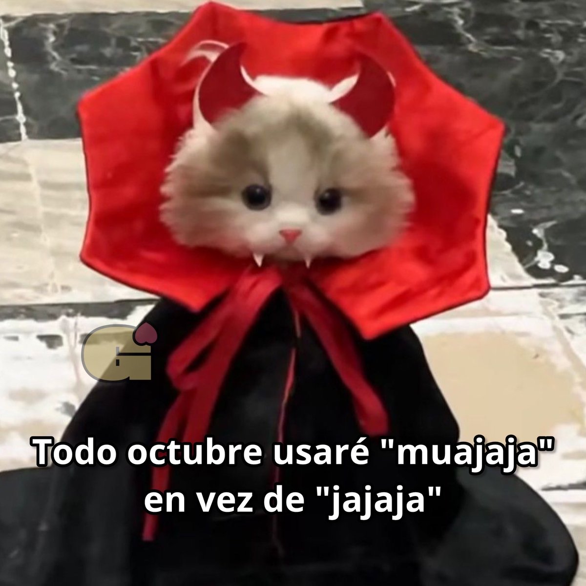 johanacardozoa1's tweet photo. https://t.co/9x9xbrLZh6