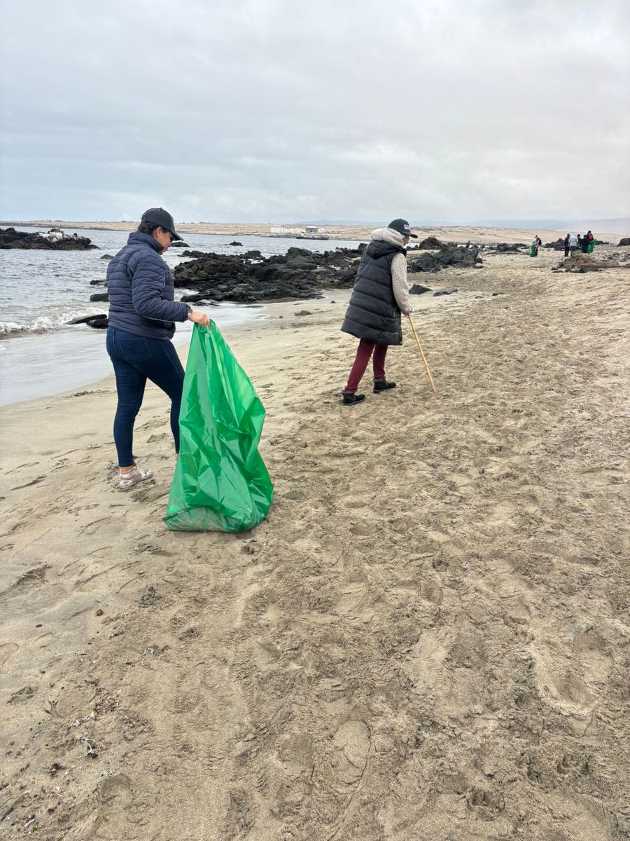 DGTM_Chile's tweet photo. La Capitanía de Puerto de Caldera, con el apoyo de la empresa CMP, aguas CAP, puerto de Caldera y voluntarios celebró, este 3 de octubre, el día internacional de playa, realizando limpieza en playa Brava y playa Las Piscina de Bahía Inglesa.
@Armada_Chile https://t.co/pInpfHtjLs