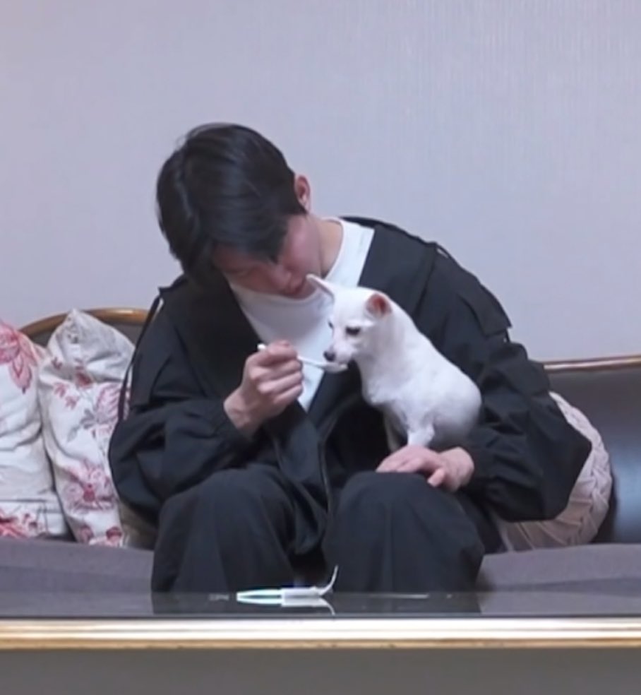 luvdw25's tweet photo. ㅜㅜ 아기토리건강하렴..... https://t.co/44R7zNTpwe