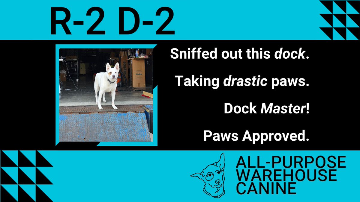 skylineinwb3's tweet image. R-2 D-2, probably:
“Found this dock. Don’t mess with me — I’m the Dock Maste! I’ve mastered this dock.”

#Donkey #DockMaster #WarehouseCanine #ShrekInspired #B3Exhibits #R2D2 #AlterEgo
