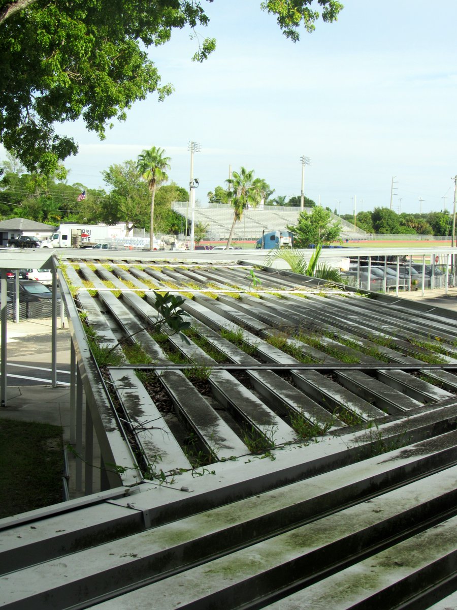 Angela Amos (@clhs_media) on Twitter photo Pre-AICE Photography students <a href="/CypressLakeHigh/">Cypress Lake High and Center for the Arts</a> focused on using leading lines in their photographs. This is an art technique using real or implied lines to draw the viewer's eye into the photograph.
<a href="/LeeSchools/">School District of Lee County</a> <a href="/LeeCountyCTE/">LeeCountyCTE</a> #mrsamosphotoclass Pre-AICE Photography students <a href="/CypressLakeHigh/">Cypress Lake High and Center for the Arts</a> focused on using leading lines in their photographs. This is an art technique using real or implied lines to draw the viewer's eye into the photograph.
<a href="/LeeSchools/">School District of Lee County</a> <a href="/LeeCountyCTE/">LeeCountyCTE</a> #mrsamosphotoclass