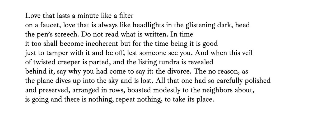 Alina Stefanescu tweet media