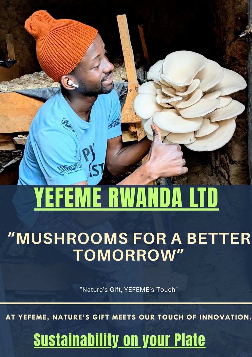 etiennexpert's tweet photo. At YEFEME, our mushroom tubes yield above 1Kg of fresh mushrooms per harvest. 🌱🍄
Looking for healthy, high-quality mushrooms? Reach us today!” https://t.co/MZOPsu7P1s