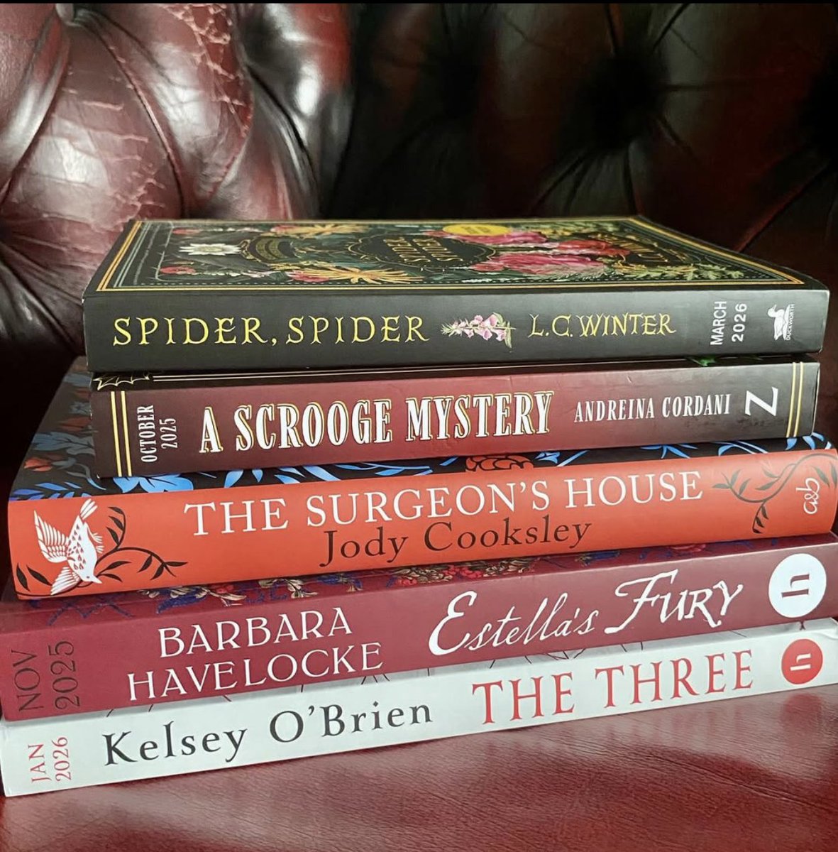 Author Barbara Copperthwaite | Barbara Havelocke tweet media