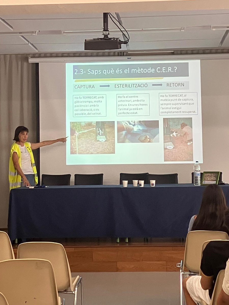 Institut Ramon de la Torre tweet media