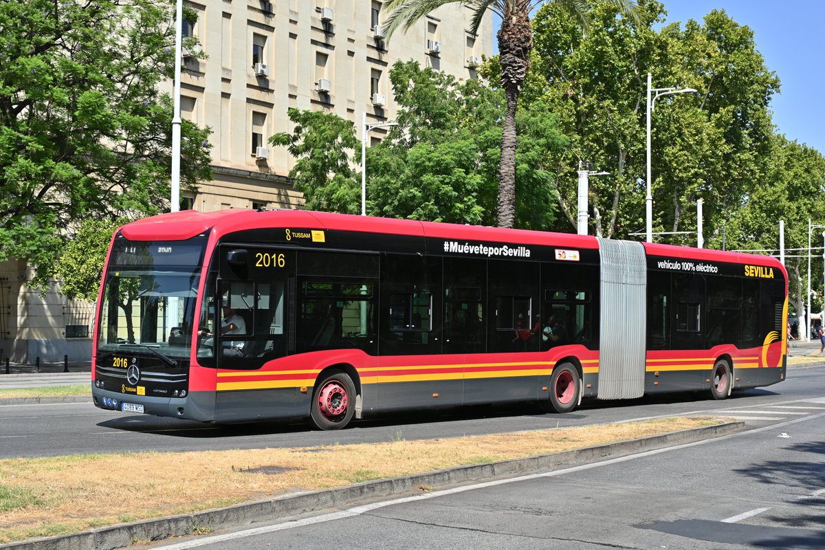 Listados creados en Andalucía
- Transportes Rober (Urbanos Granada):
busesmadrid.es/urbanos-de-gra…
- Autobuses Urbanos de Córdoba S.A. (AUCORSA):
busesmadrid.es/autobuses-urba…
- Transportes Urbanos de Sevilla S.A.M. (TUSSAM):
busesmadrid.es/transportes-ur…