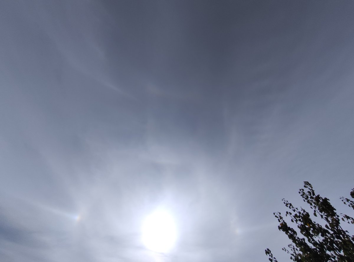 MarisaDG_'s tweet photo. Halo solar, parhelios, círculo parhélico, arco tangente superior y arco circuncenital... 🌤️,🌤️ Cielo visto desde Pozohondo (AB)
@ElTiempoCMM @ecazatormentas @aquilatierratve https://t.co/R4YrLFBGg3