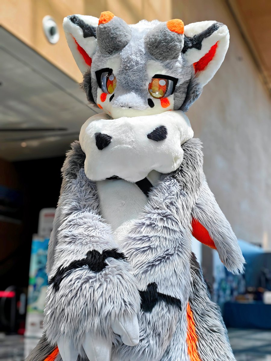 ✨今天是好乖的可爱小恶魔！🎃
据说这两天好多宝贝在HiFurry都抓到我啦！
嘿嘿 其实是毛替老师小吉 帮我出的
小吉演译特别专业的说💪🏻💪🏻
希望大家喜欢小恶魔龙洛澜吧！🥰🥰
#FursuitFriday #兽装 #furry #毛毛星期五 #hifurry #奶茶味的洛曦