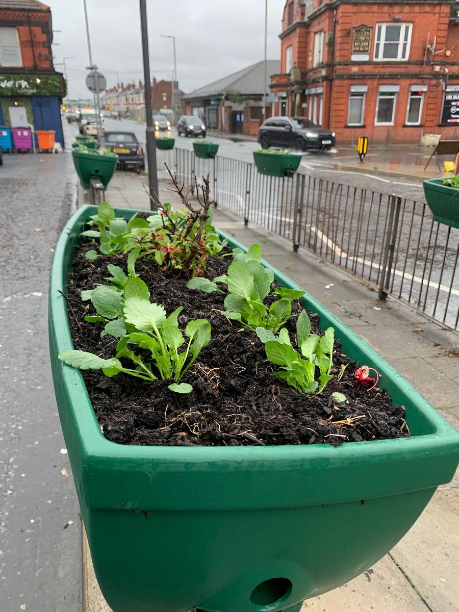OrrellparkGT's tweet photo. 🌱☔ Rain didn’t stop us! The Orrell Park Green Team were out planting fresh blooms to brighten our streets 🌸💚  #CommunitySpirit #GreenTeam https://t.co/b3zyLYo30A