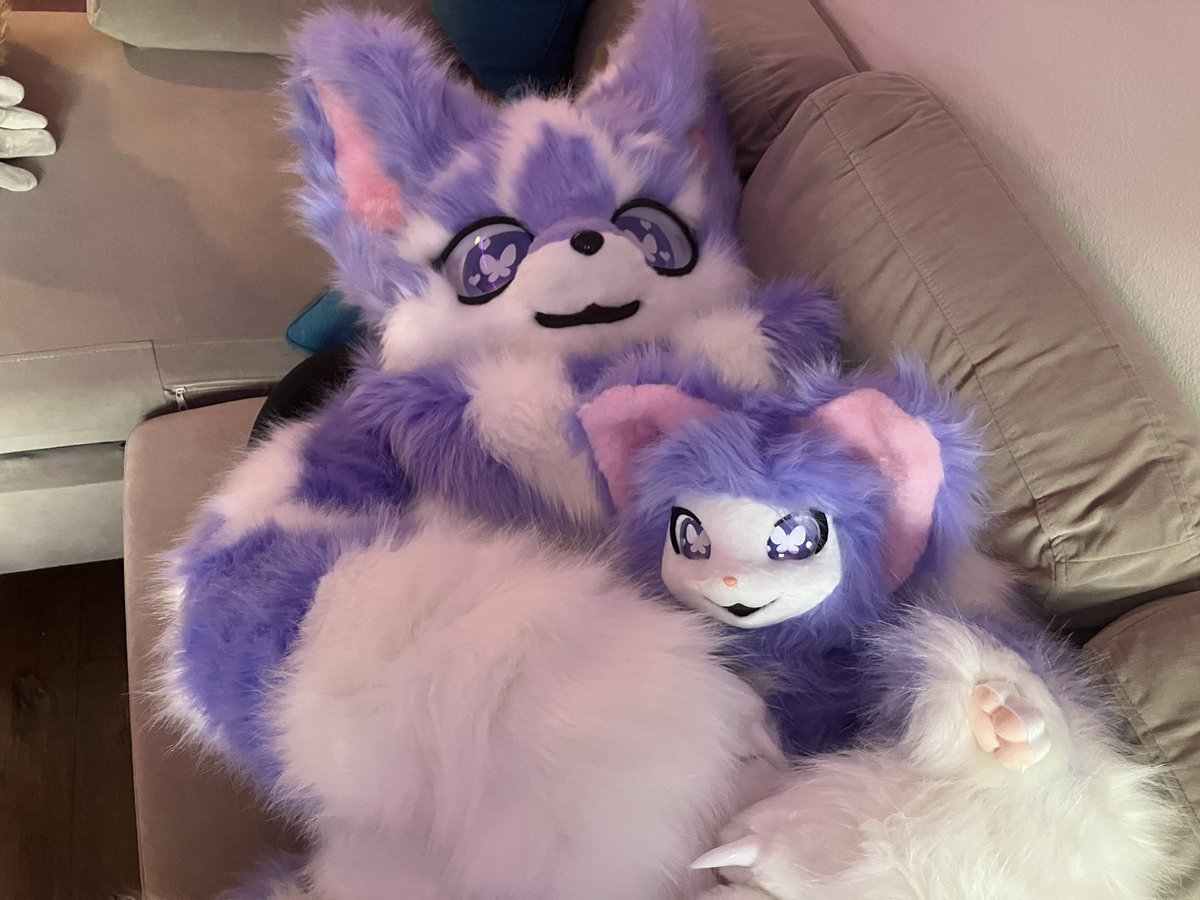 Taro and Ube relaxing on this #FursuitFriday 

#furry #fursuit #kemono #ケモノ