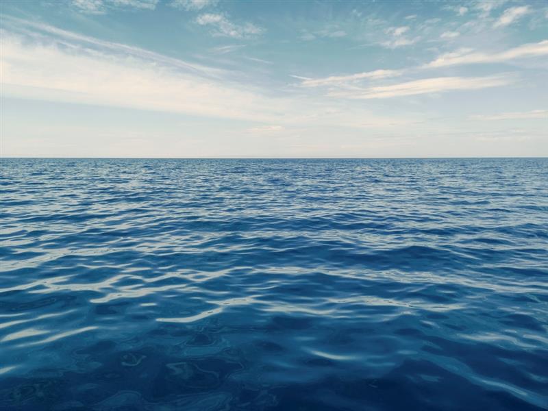 NexaBiome (@nexabiome) on Twitter photo Did you know bacteriophages help keep oceans alive? By recycling nutrients, they fuel phytoplankton and support marine life from microbes to whales. 🐋 Tiny viruses, huge impact. 
#Phages Did you know bacteriophages help keep oceans alive? By recycling nutrients, they fuel phytoplankton and support marine life from microbes to whales. 🐋 Tiny viruses, huge impact. 
#Phages