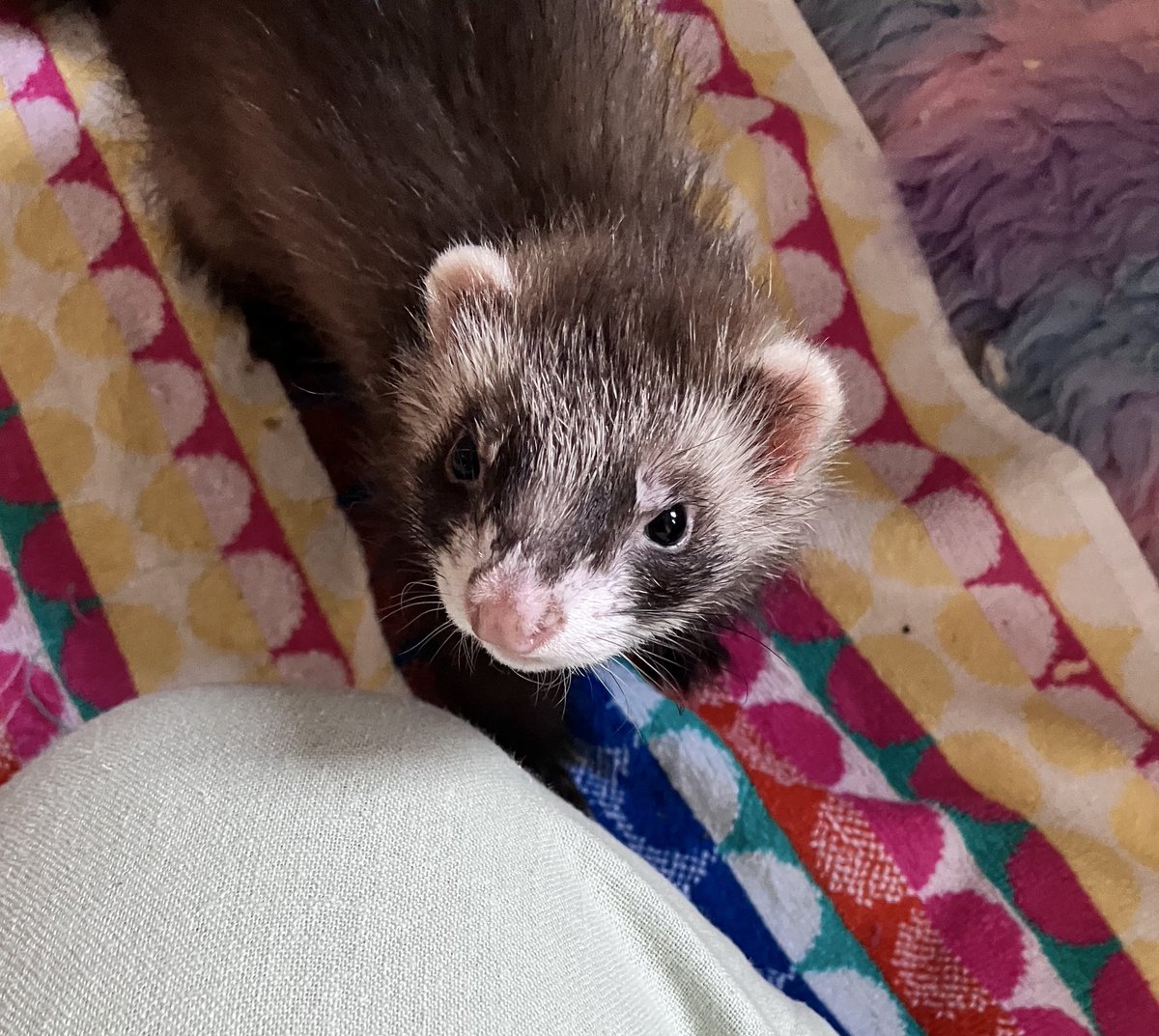 CaliCeri tweet media