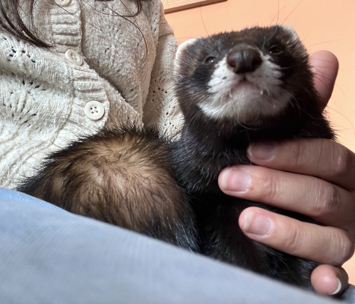 CaliCeri tweet media