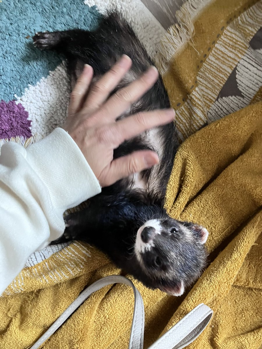 CaliCeri tweet media