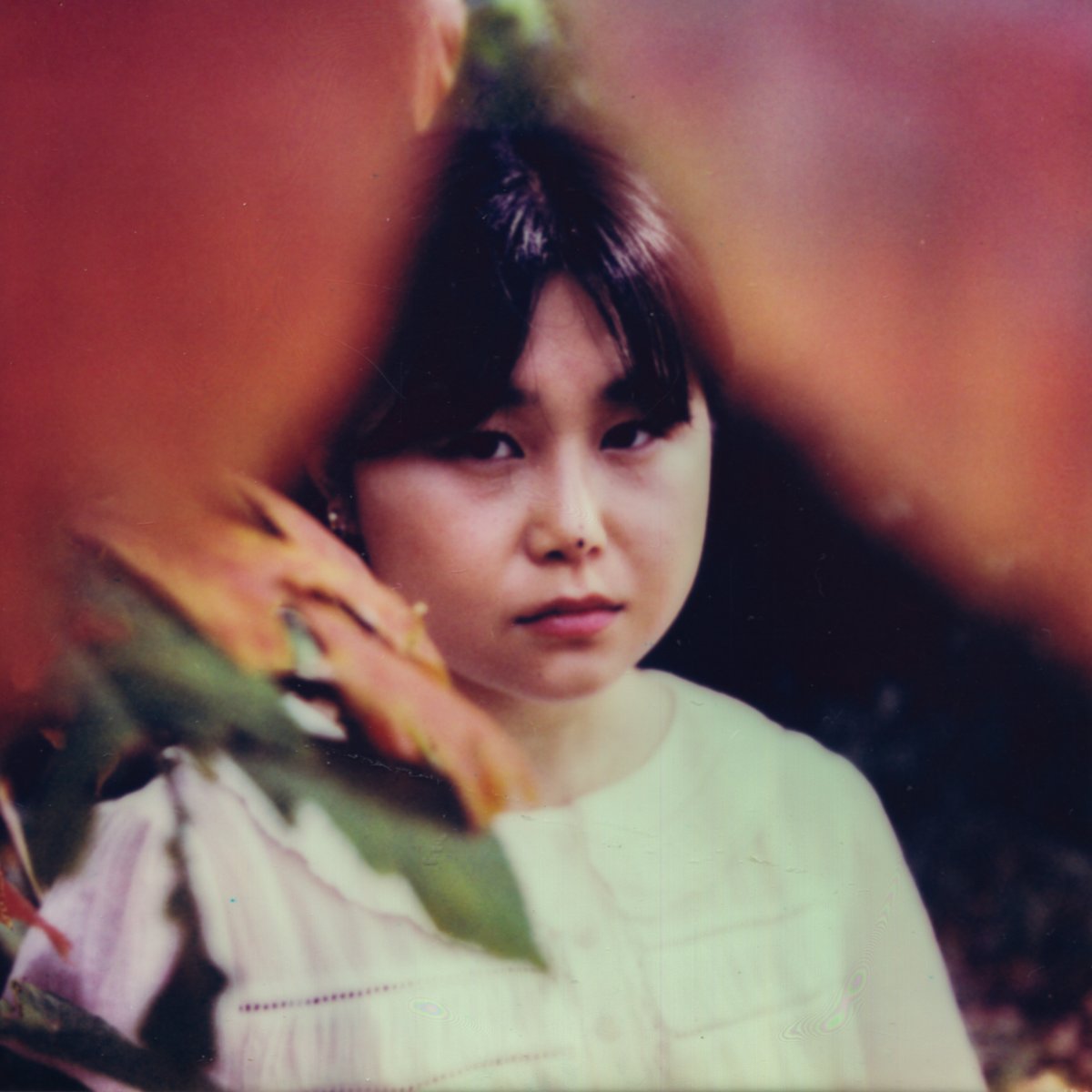 min.a + 민아 tweet media