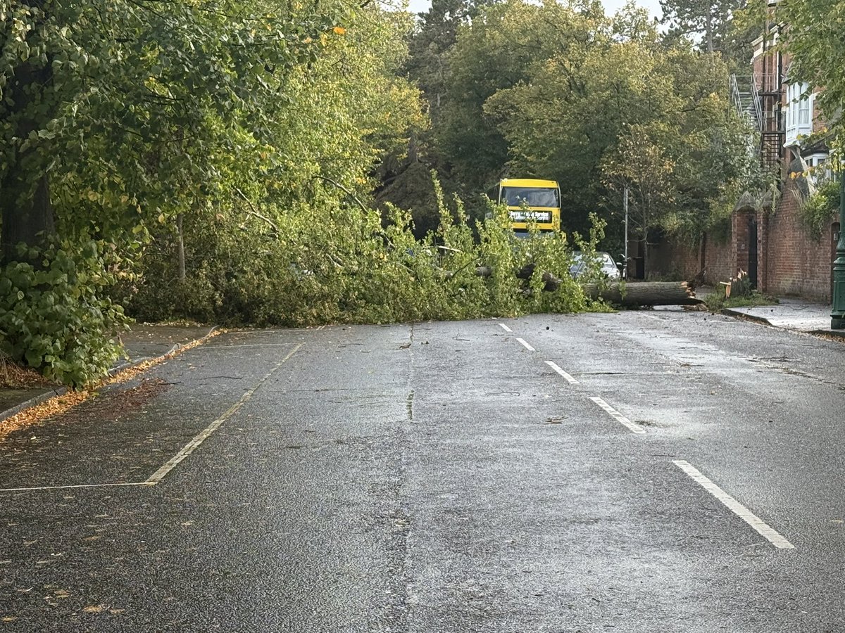 Keith Lowe tweet media