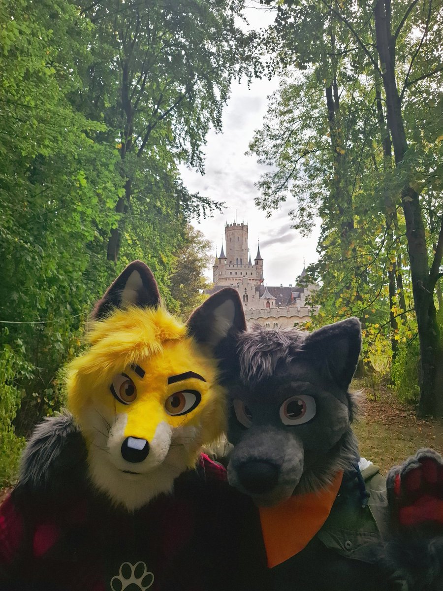 First time out and about with my fursuit! 🦊🐺 
Featuring my brother lupinwolf on bsky 

Happy #FursuitFriday

📸 by gabefoxx on bsky