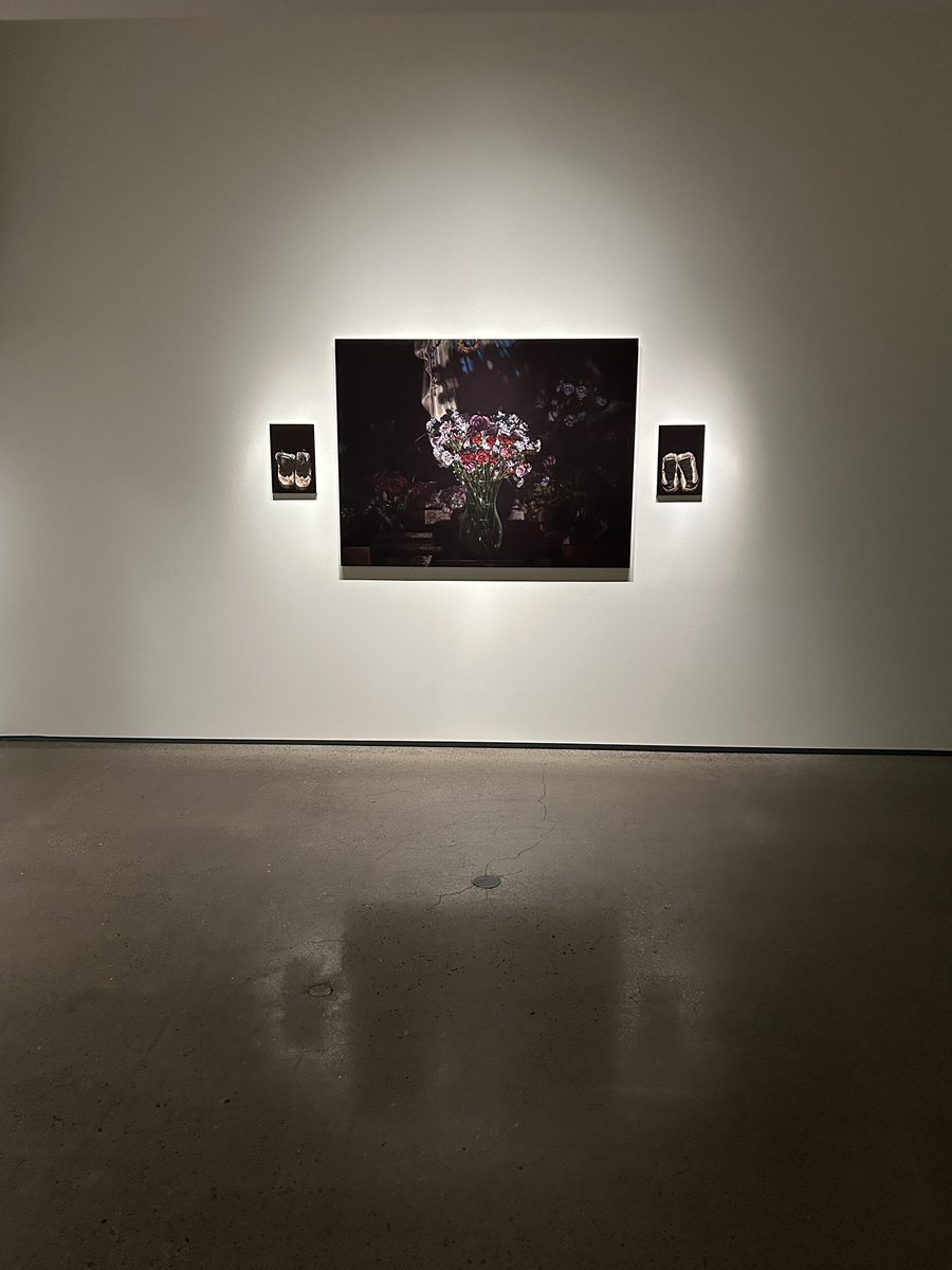 熊谷亜莉沙「天国泥棒」@ギャラリー小柳
全体的に暗く、大きく、迫力のある絵画。エアジョーダンのようなアイコニックなモチーフに違和感を覚える。
10/11まで。