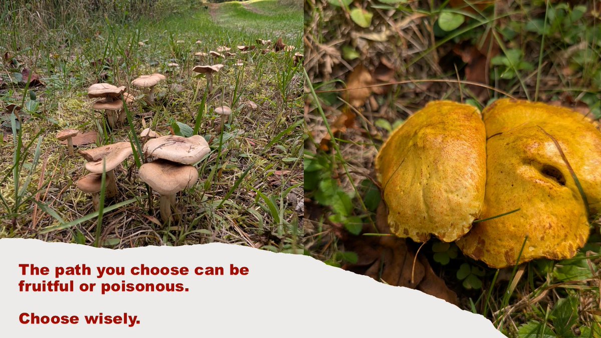 sherriepalm's tweet image. TGIF

#APOPS