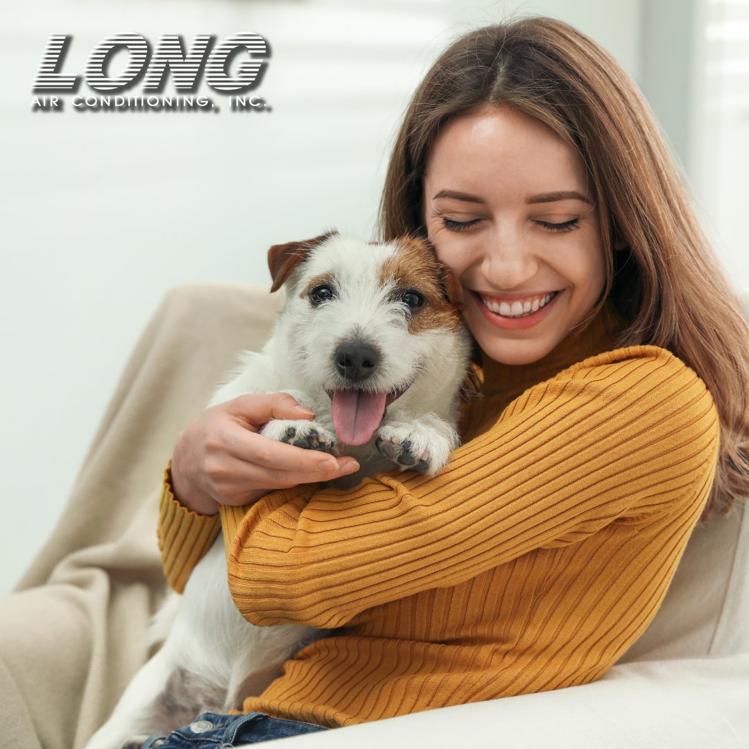 LongAirInc's tweet photo. Comfort you can count on—day after day.🐶🏡 With Long Air’s trusted service and dependable care, your home stays consistently comfortable for every family member, two-legged or four. 

Contact us today!
☎️: 936-756-5645
🌐 https://t.co/M1aZ3wpFFV

 #longair #HVAC #TRANEQuality https://t.co/PvKcW5xvje