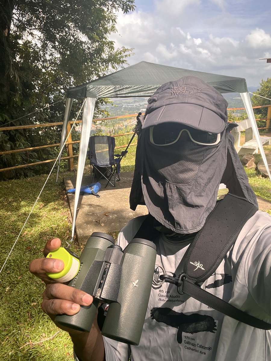 We are on full swing counting raptors at Panamá 🇵🇦 Cerro Ancón Hawkwatch 
<a href="/BatumiRaptors/">Batumi Raptor Count</a> <a href="/hawkwatchint/">HawkWatch International</a> <a href="/Hawk_Mountain/">Hawk Mountain</a> <a href="/Hawk_Ridge/">Hawk Ridge</a> <a href="/cmbobirds/">Cape May Bird Obs.</a>