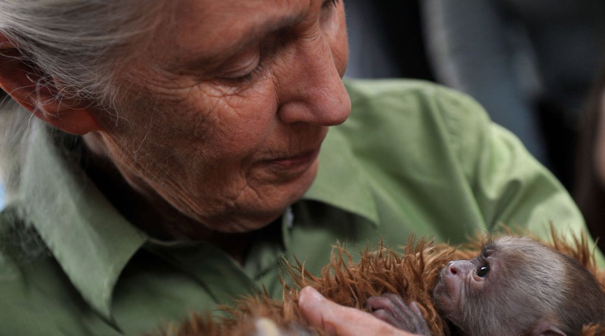 DF Diario Feminista tweet media