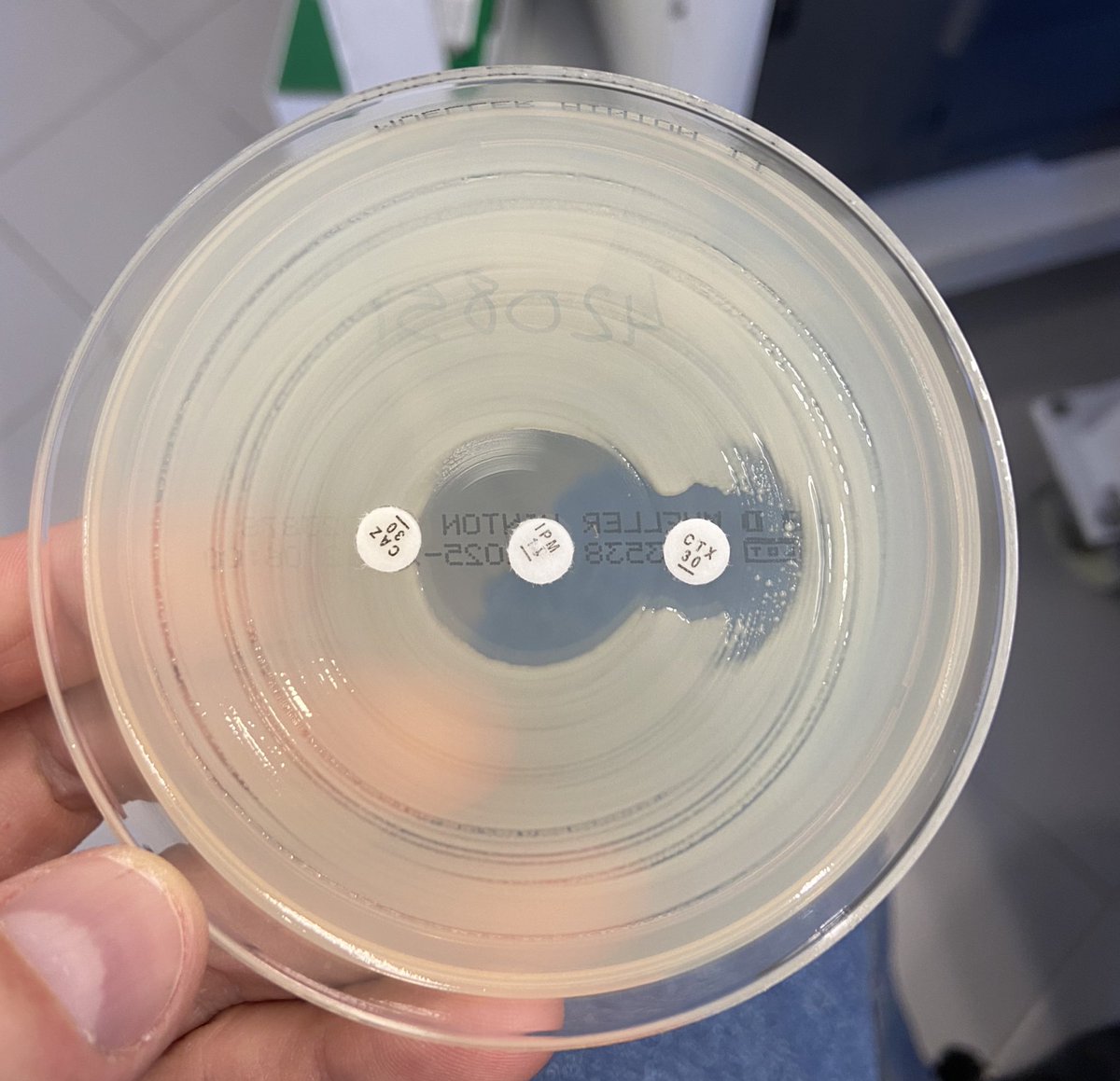 Muy contento por haber conseguido mi primer contrato Río Hortega del <a href="/SaludISCIII/">Instituto de Salud Carlos III (ISCIII)</a> como Jefe de grupo🎉

Esto nos va a permitir avanzar en la investigación clínica sobre caracterización de los mecanismos de resistencia a los antibióticos! 💪🏼🧫🔬💊
<a href="/HospitalUVRocio/">Hospital Universitario Virgen del Rocío</a> 
<a href="/ibis_sevilla/">IBiS</a>