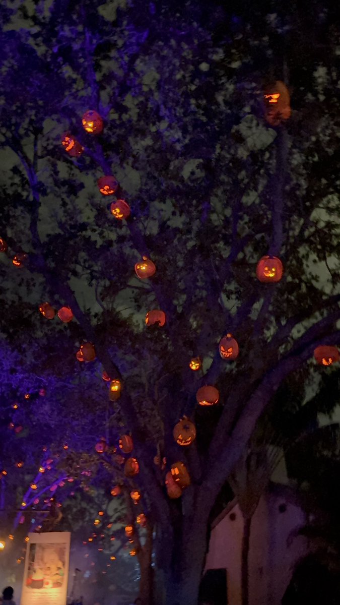 TheUOcommuter's tweet photo. Absolutely loved The Cat Lady of Crooked Lane! It would be great to have some kind of zone or house dedicated to traditional Halloween each year! https://t.co/EdZTohkTB4