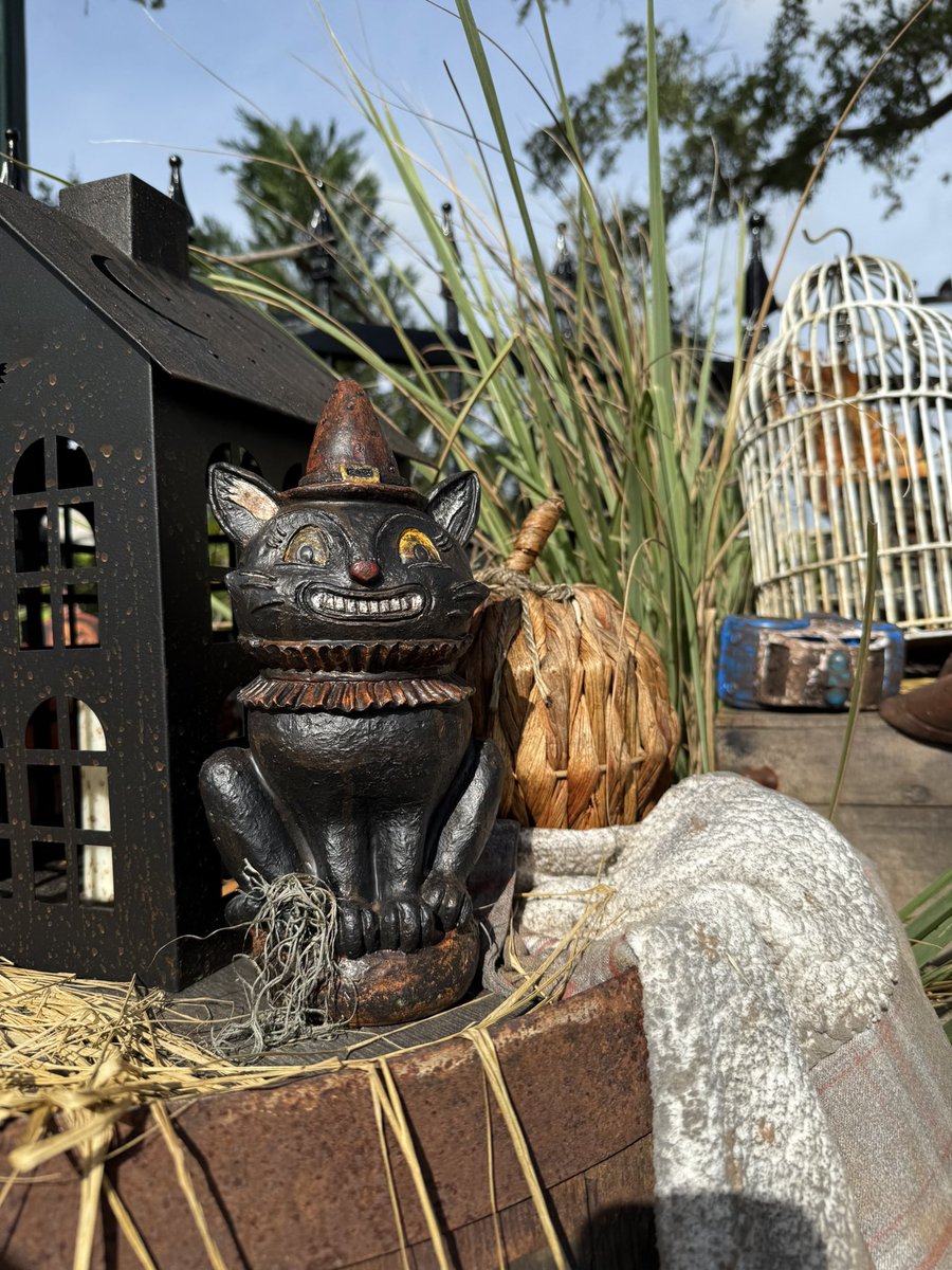 TheUOcommuter's tweet photo. Absolutely loved The Cat Lady of Crooked Lane! It would be great to have some kind of zone or house dedicated to traditional Halloween each year! https://t.co/EdZTohkTB4