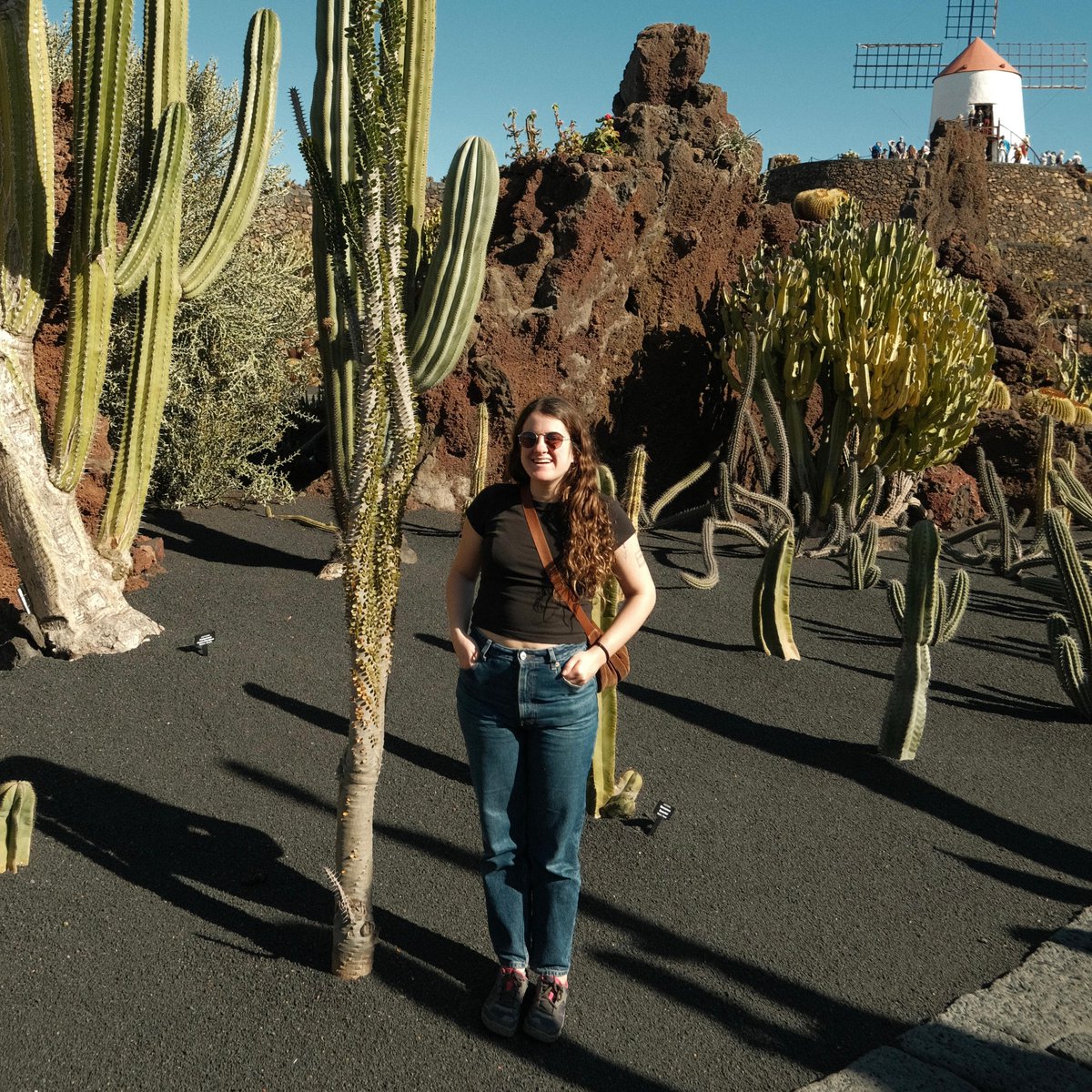 Stereoselective Synthesis of Natural Products tweet media