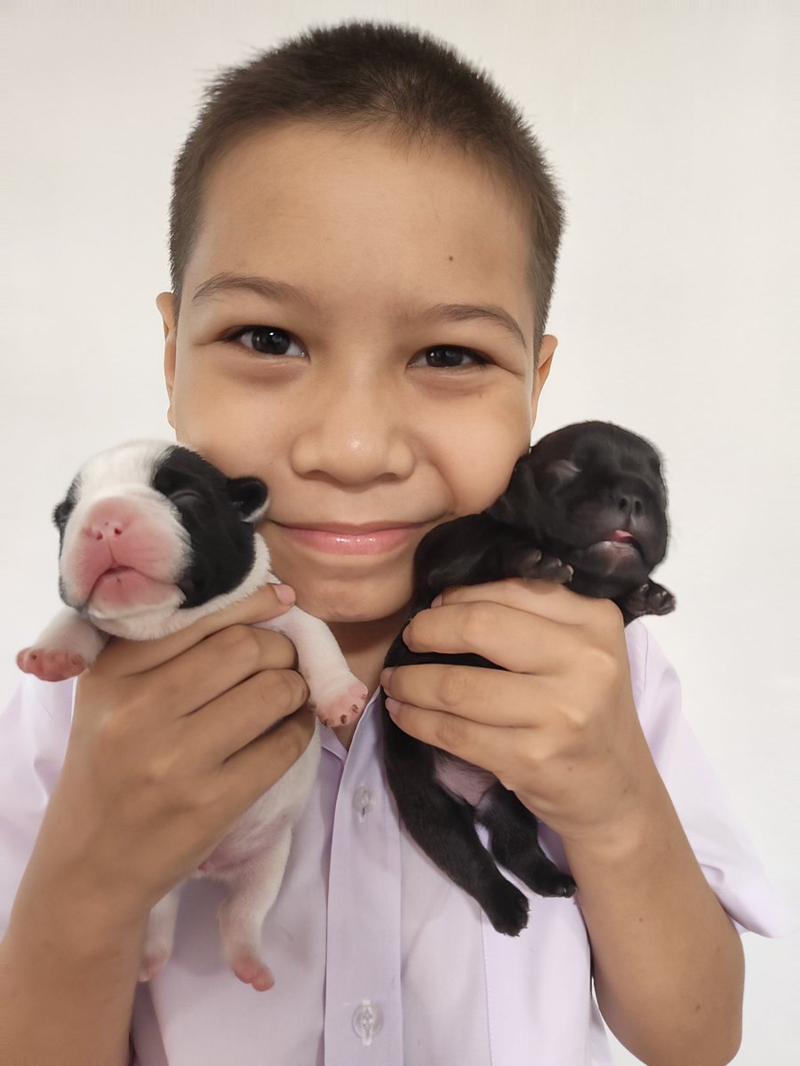 🦖BigDeebook.eth/.tez🦖 tweet media