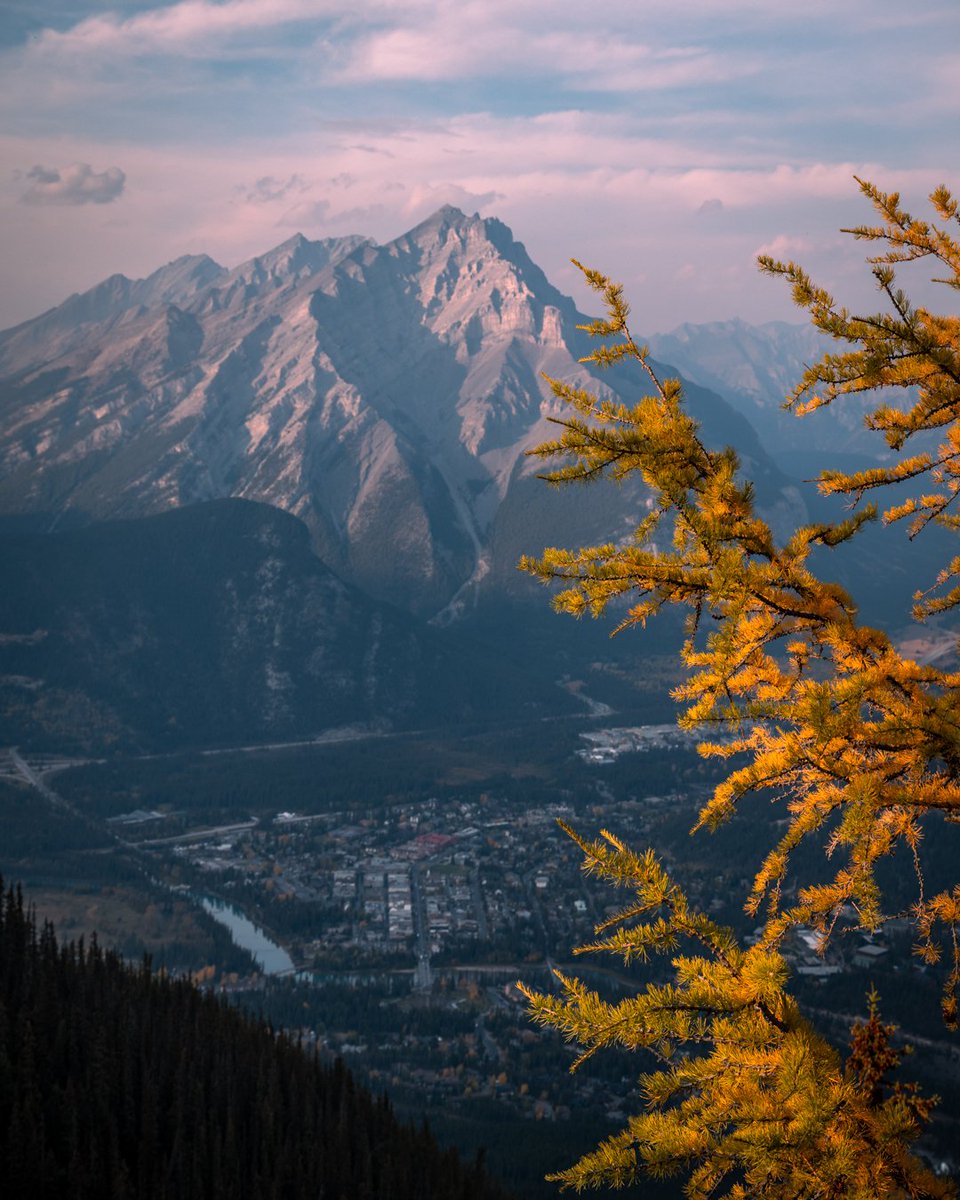 danschyk's tweet image. Views from Sulphur Mountain